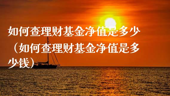 如何查理财基金净值是多少（如何查理财基金净值是多少钱）_https://www.kuaijiepai.net_期货理财_第1张