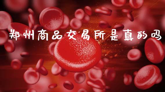 郑州商品交易所是真的吗_https://www.kuaijiepai.net_期货在线_第1张