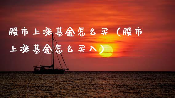 股市上涨基金怎么买（股市上涨基金怎么买入）_https://www.kuaijiepai.net_投资理财_第1张
