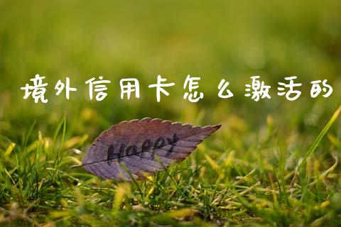 境外信用卡怎么激活的_https://www.kuaijiepai.net_期货在线_第1张