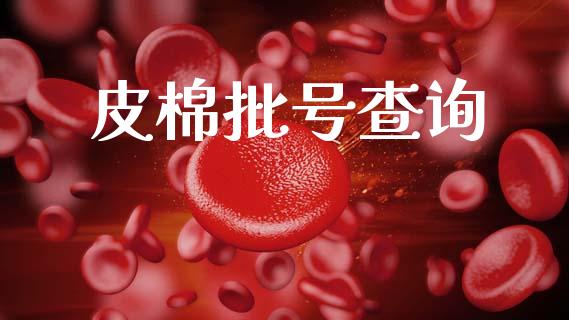 皮棉批号查询_https://www.kuaijiepai.net_期货资讯_第1张