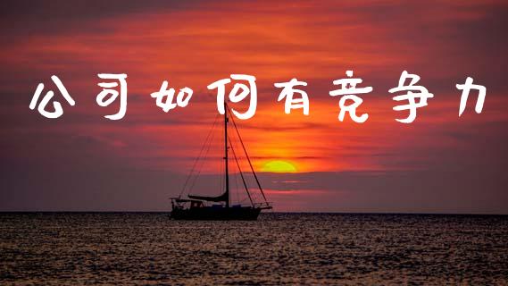公司如何有竞争力_投资理财_第1张_快捷排财经网 公司如何有竞争力_https://www.kuaijiepai.net_投资理财_第1张