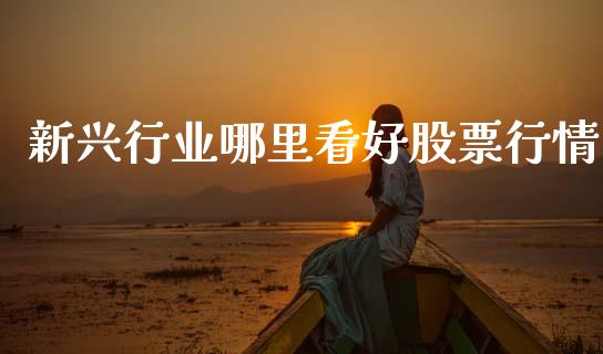 新兴行业哪里看好股票行情_https://www.kuaijiepai.net_新股新闻_第1张