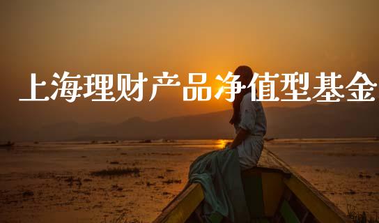 上海理财产品净值型基金_https://www.kuaijiepai.net_投资理财_第1张