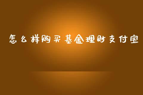 怎么样购买基金理财支付宝_https://www.kuaijiepai.net_期货理财_第1张