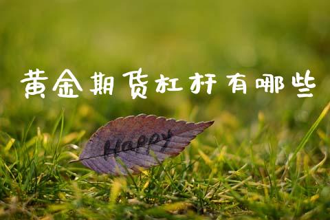 黄金期货杠杆有哪些_https://www.kuaijiepai.net_国际期货_第1张