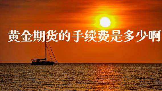 黄金期货的手续费是多少啊_https://www.kuaijiepai.net_国际期货_第1张