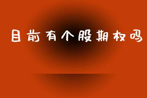 目前有个股期权吗_https://www.kuaijiepai.net_国际期货_第1张