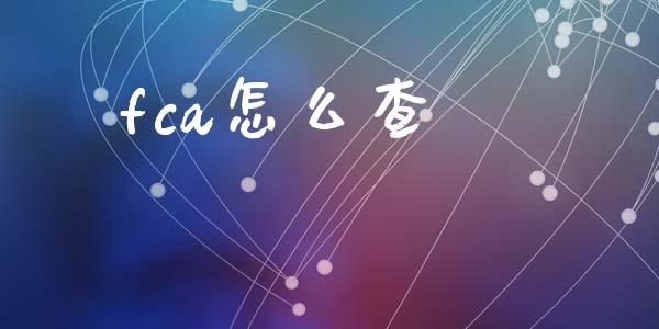 fca怎么查_https://www.kuaijiepai.net_国际期货_第1张