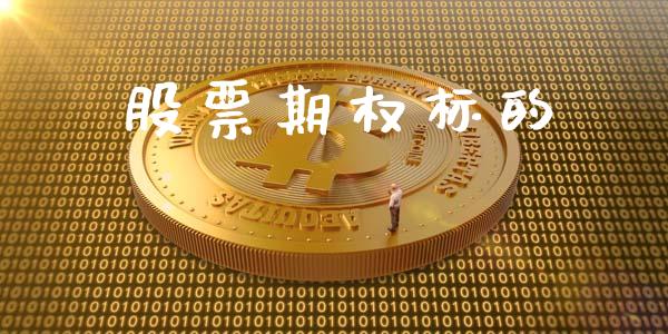 股票期权标的_https://www.kuaijiepai.net_国际股建_第1张