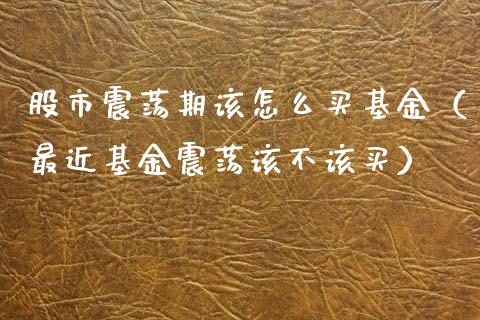 股市震荡期该怎么买基金（最近基金震荡该不该买）_https://www.kuaijiepai.net_投资理财_第1张