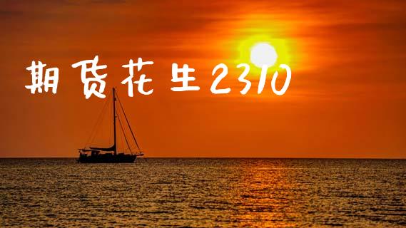 期货花生2310_https://www.kuaijiepai.net_国际期货_第1张