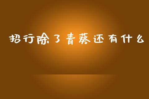 招行除了青葵还有什么_https://www.kuaijiepai.net_股票理论_第1张