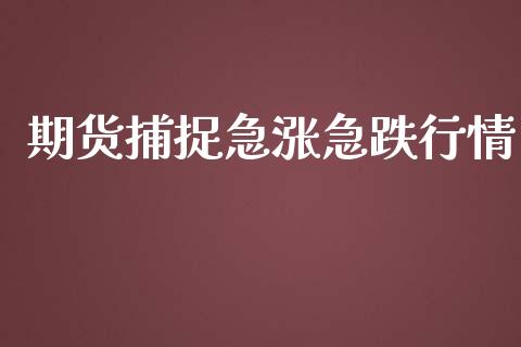 期货捕捉急涨急跌行情_https://www.kuaijiepai.net_期货资讯_第1张