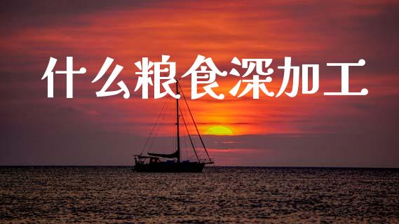 什么粮食深加工_投资理财_第1张_快捷排财经网 什么粮食深加工_https://www.kuaijiepai.net_投资理财_第1张