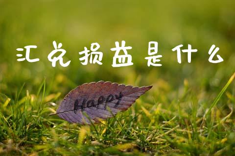 汇兑损益是什么_https://www.kuaijiepai.net_国际股建_第1张
