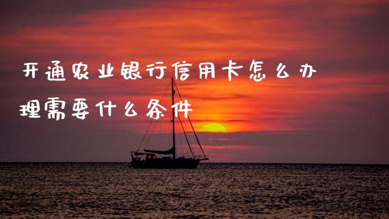 开通农业银行信用卡怎么办理需要什么条件_https://www.kuaijiepai.net_投资理财_第1张