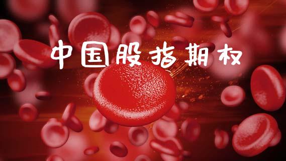 中国股指期权_https://www.kuaijiepai.net_期货资讯_第1张