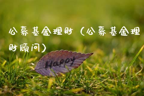 公募基金理财（公募基金理财顾问）_https://www.kuaijiepai.net_期货理财_第1张