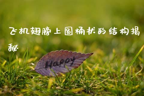 飞机翅膀上圆桶状的结构揭秘_https://www.kuaijiepai.net_股票理论_第1张