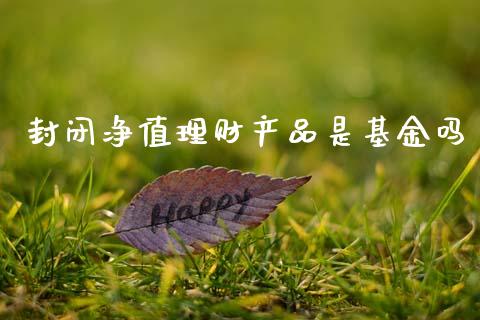 封闭净值理财产品是基金吗_https://www.kuaijiepai.net_投资理财_第1张