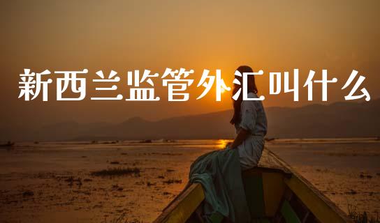 新西兰监管外汇叫什么_https://www.kuaijiepai.net_期货理财_第1张