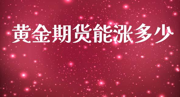 黄金期货能涨多少_https://www.kuaijiepai.net_期货资讯_第1张