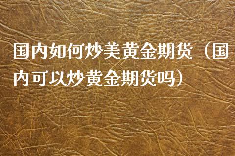 国内如何炒美黄金期货（国内可以炒黄金期货吗）_https://www.kuaijiepai.net_国际期货_第1张