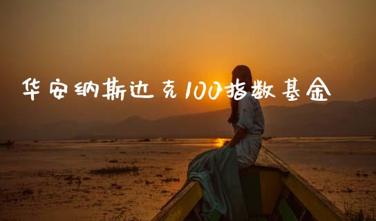 华安纳斯达克100指数基金_https://www.kuaijiepai.net_期货资讯_第1张