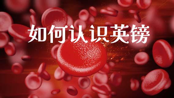 如何认识英镑_https://www.kuaijiepai.net_国际股建_第1张