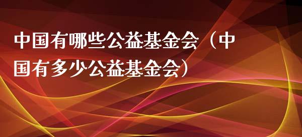中国有哪些公益基金会（中国有多少公益基金会）_https://www.kuaijiepai.net_期货理财_第1张