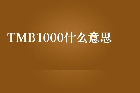 TMB1000什么意思_https://www.kuaijiepai.net_投资理财_第1张