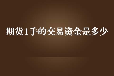 期货1手的交易资金是多少_https://www.kuaijiepai.net_国际期货_第1张