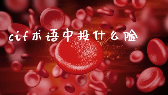 cif术语中投什么险_https://www.kuaijiepai.net_国际股建_第1张