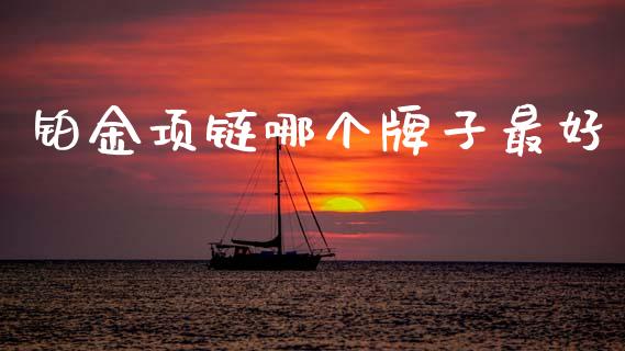 铂金项链哪个牌子最好_https://www.kuaijiepai.net_投资理财_第1张
