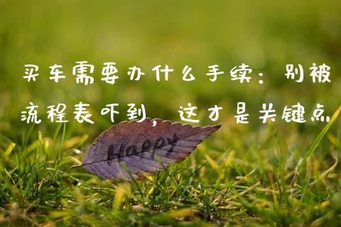 买车需要办什么手续：别被流程表吓到，这才是关键点_https://www.kuaijiepai.net_期货理财_第1张