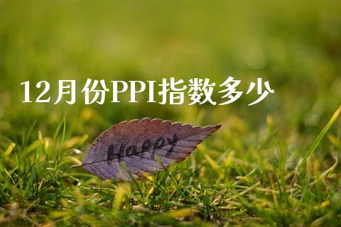 12月份PPI指数多少_https://www.kuaijiepai.net_期货资讯_第1张