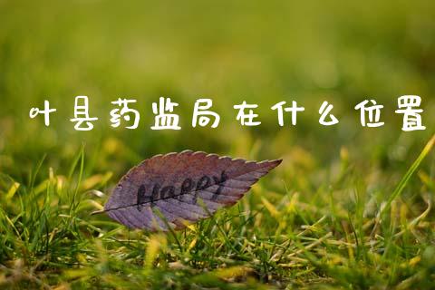 叶县药监局在什么位置_https://www.kuaijiepai.net_国际股建_第1张