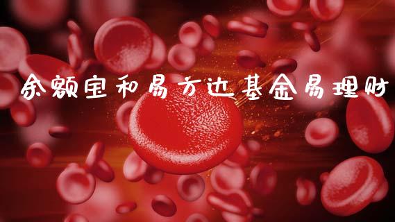 余额宝和易方达基金易理财_https://www.kuaijiepai.net_期货理财_第1张
