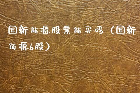 国新能源股票能买吗（国新能源b股）_https://www.kuaijiepai.net_股票理论_第1张