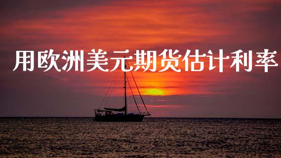 用欧洲美元期货估计利率_https://www.kuaijiepai.net_期货资讯_第1张
