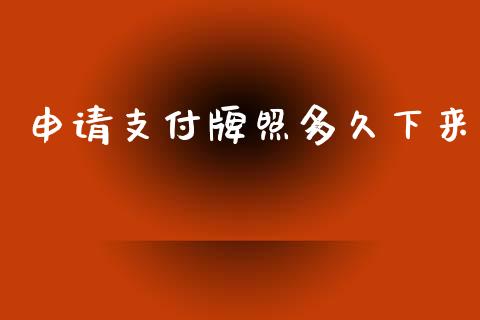 申请支付牌照多久下来_https://www.kuaijiepai.net_期货理财_第1张