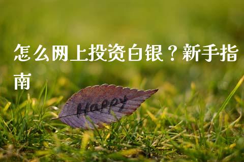 怎么网上投资白银？新手指南_https://www.kuaijiepai.net_投资理财_第1张