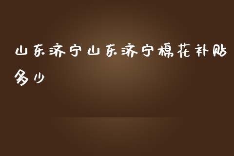 山东济宁山东济宁棉花补贴多少_https://www.kuaijiepai.net_国际期货_第1张