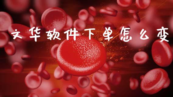 文华软件下单怎么变_https://www.kuaijiepai.net_期货理财_第1张