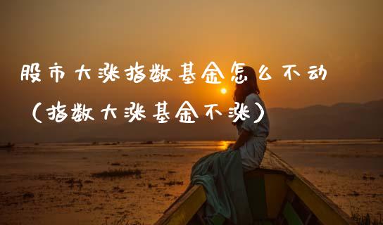 股市大涨指数基金怎么不动（指数大涨基金不涨）_https://www.kuaijiepai.net_投资理财_第1张