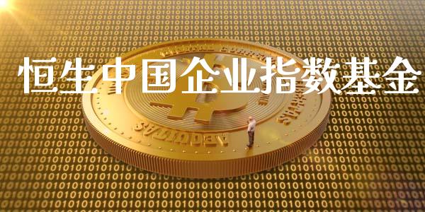 恒生中国企业指数基金_https://www.kuaijiepai.net_期货在线_第1张
