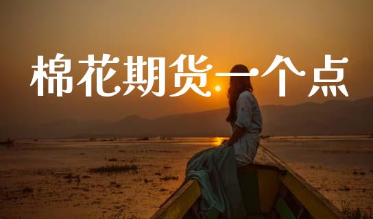 棉花期货一个点_https://www.kuaijiepai.net_国际期货_第1张