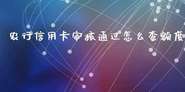 农行信用卡审核通过怎么查额度_https://www.kuaijiepai.net_期货在线_第1张
