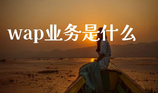 wap业务是什么_https://www.kuaijiepai.net_投资理财_第1张